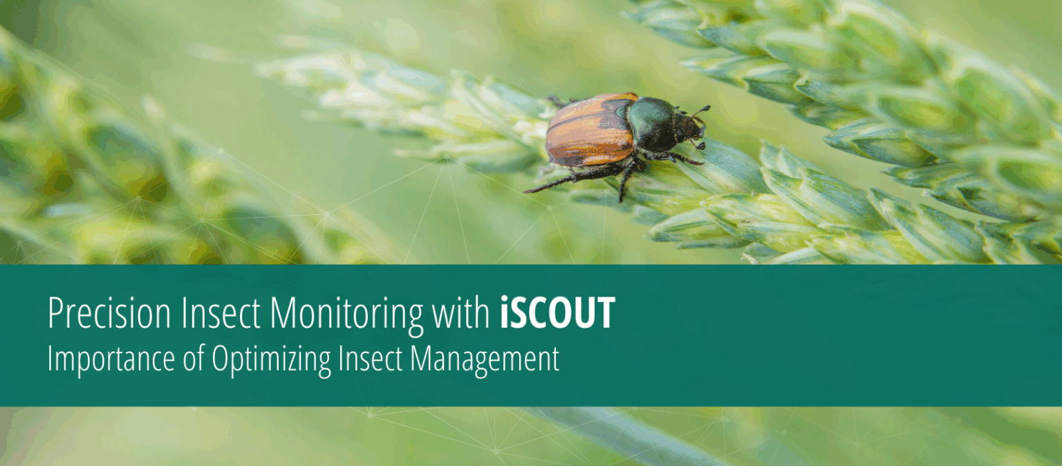 Precision Insect Monitoring – METOS North America